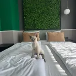 Concrete Aparthotel 4*
