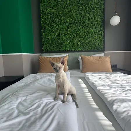 Concrete Aparthotel 4*