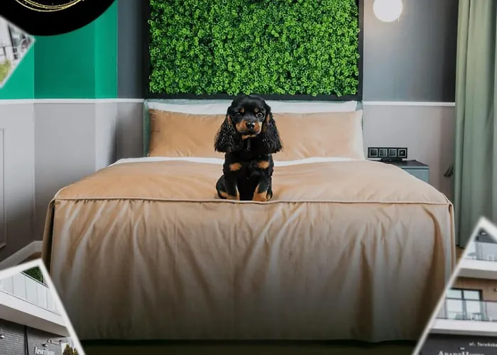 Concrete מלון דירות