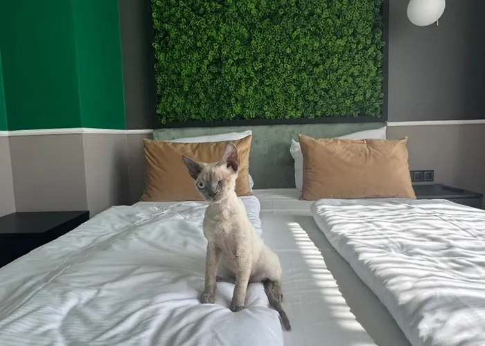 Concrete מלון דירות 4*